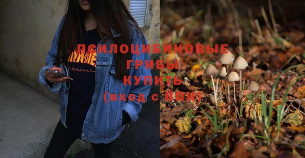 тгк Гусь-Хрустальный
