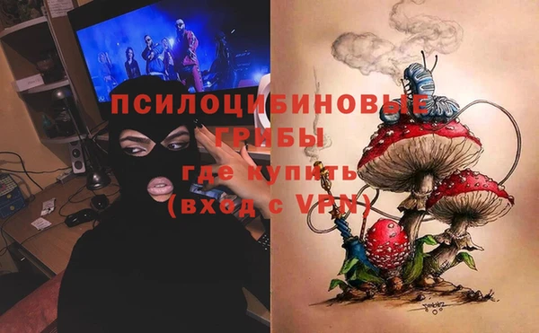 гидропоника Горнозаводск