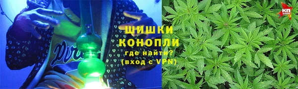 гидропоника Горнозаводск