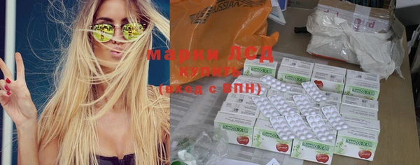 гидропоника Горнозаводск