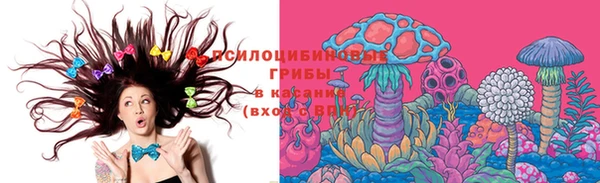 гидропоника Горнозаводск