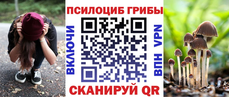 Галлюциногенные грибы ЛСД Козьмодемьянск